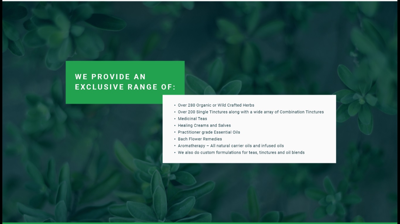 Web Design by nruxandra20 for this project | Design #15695900