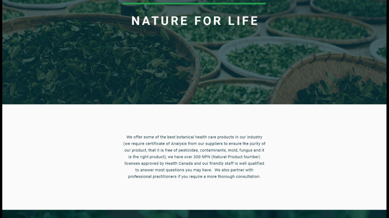 Web Design by nruxandra20 for this project | Design #15695901