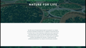 Web Design by nruxandra20 for this project | Design: #15695901