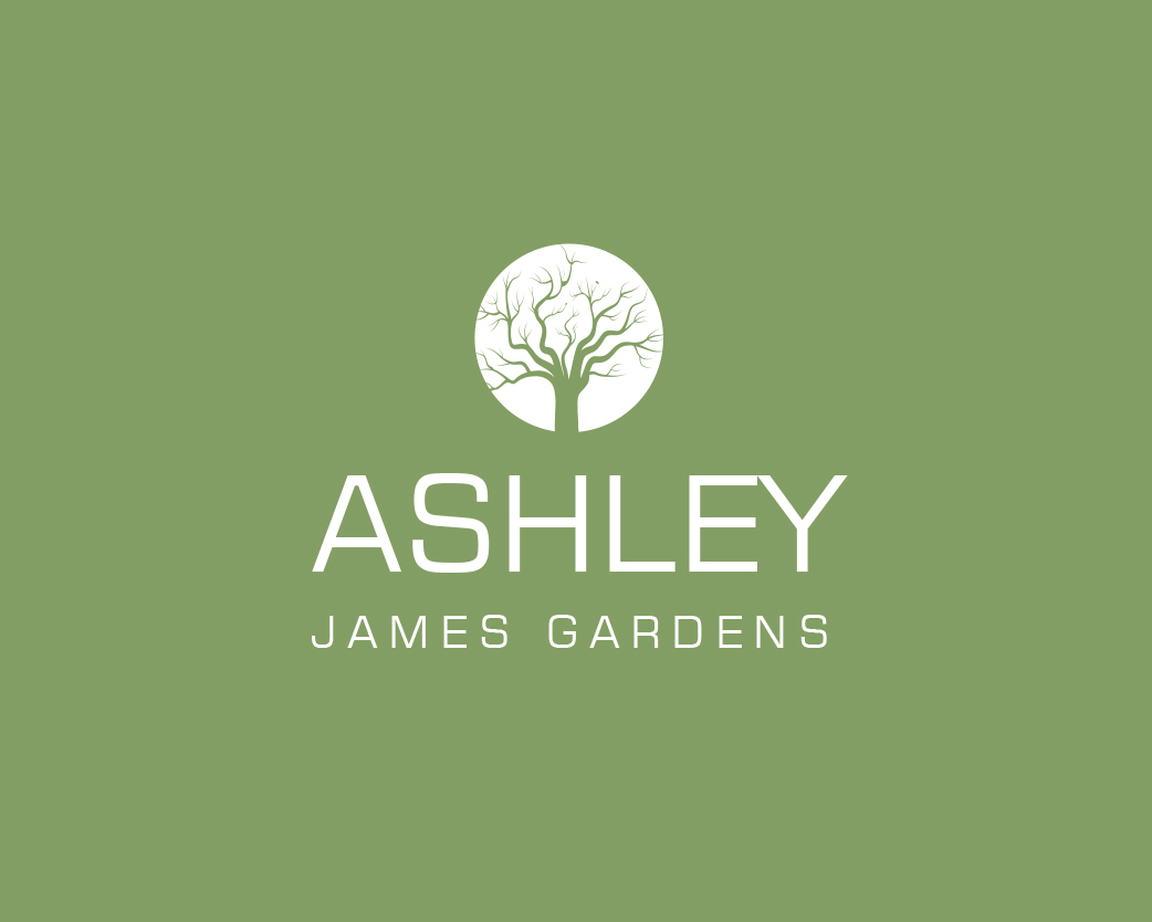 Logo-Design von Jecha für dieses Projekt | Design #15609197