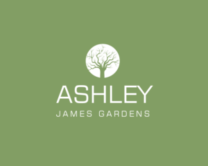 Logo-Design von Jecha für dieses Projekt | Design: #15609197