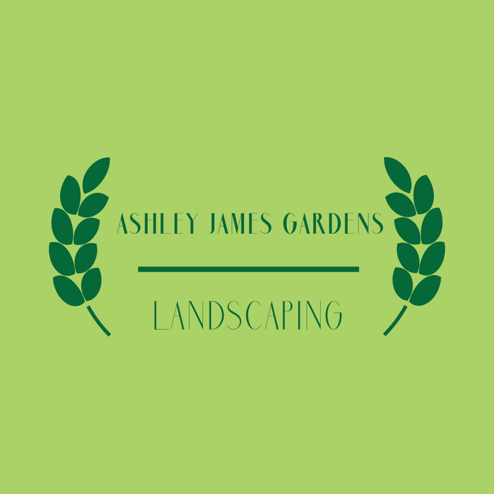 Logo Design by japogutierrez42 for this project | Design #15612007