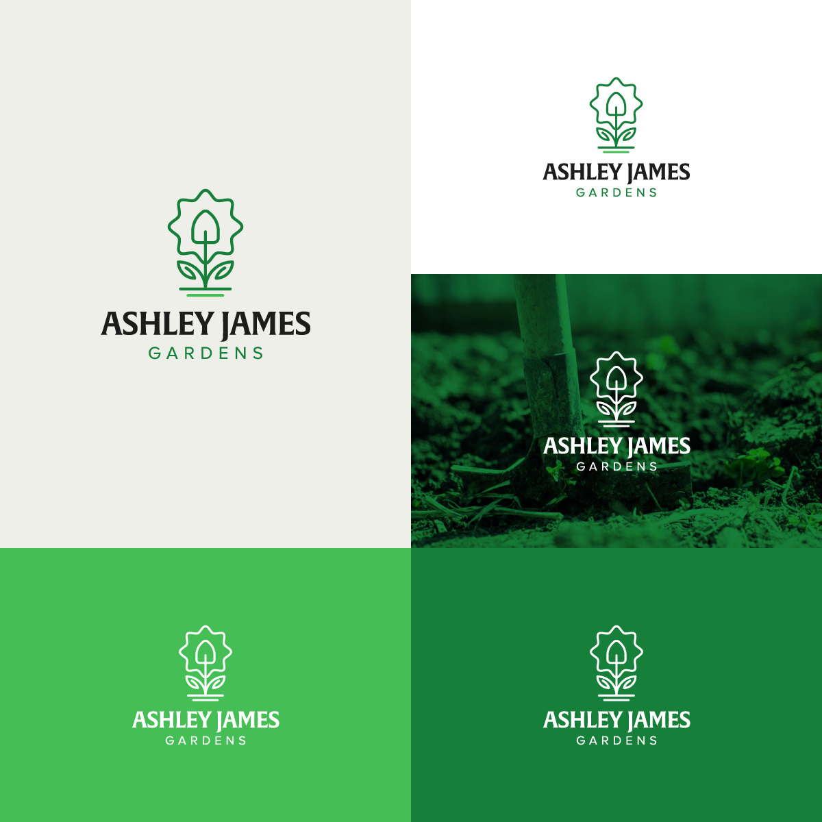 Logo-Design von Creative6 für dieses Projekt | Design #15611968