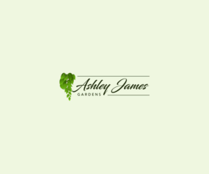Logo Design by STAR5 2