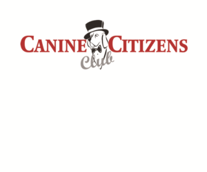 Logo Design by Hot Rod