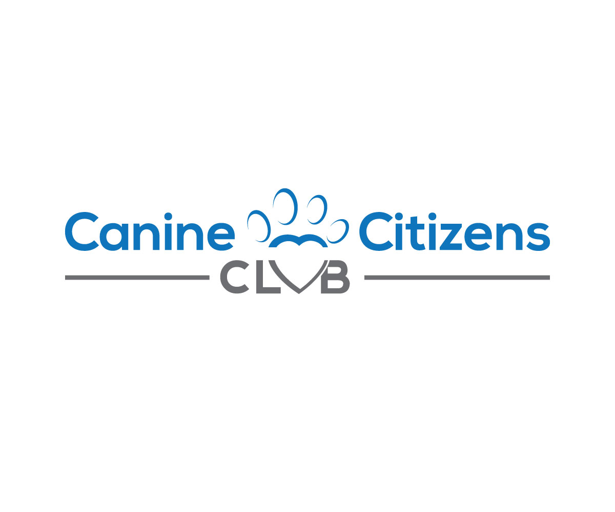 Diseño de Logo por D.C. SOLUTION. para este proyecto | Diseño #15700358