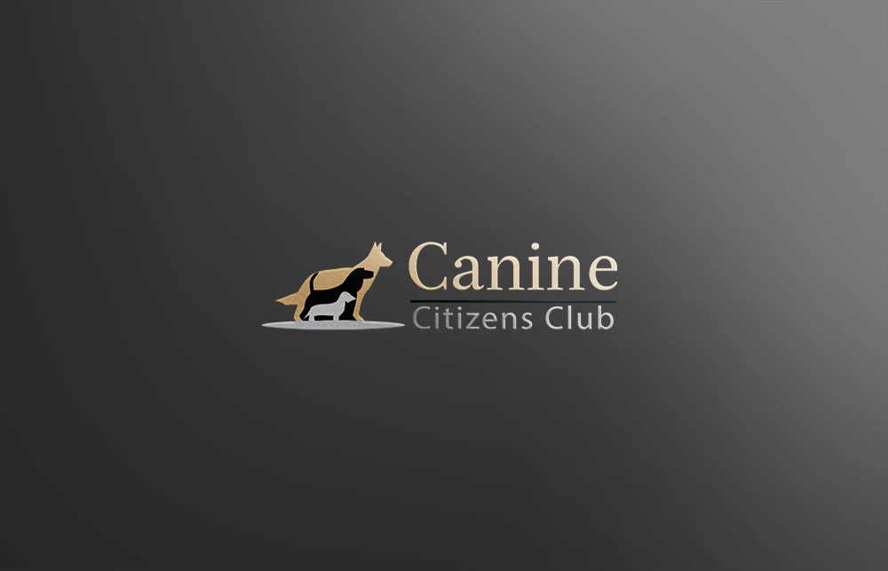 Diseño de Logo por RANARANA para este proyecto | Diseño #15698219