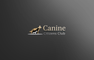 Diseño de Logo por RANARANA para este proyecto | Diseño #15698219