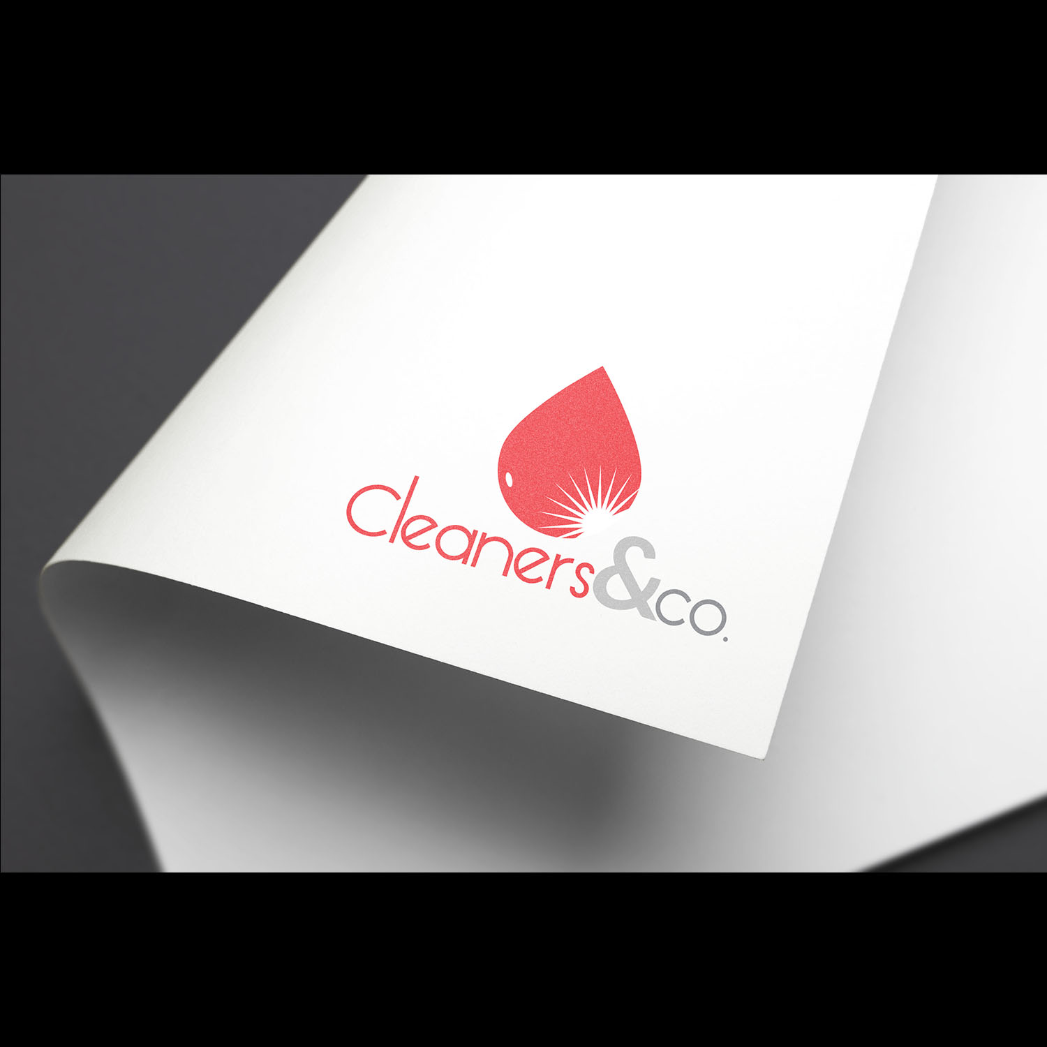 Logo Design by Next Dezign for Cleaners & Co. | Design #15631298