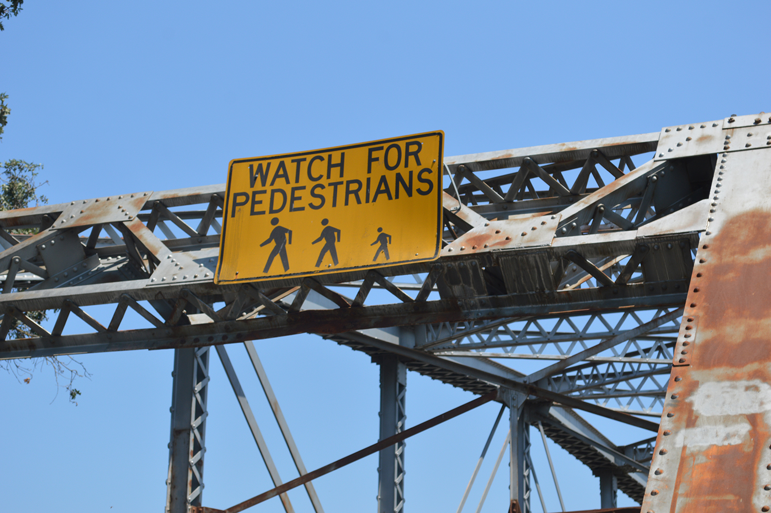 Photography by cutekoala for DesignCrowd (Community Contests) | Design #15632312