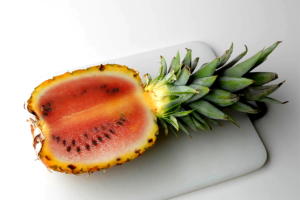 Photoshop Design by LHicks2