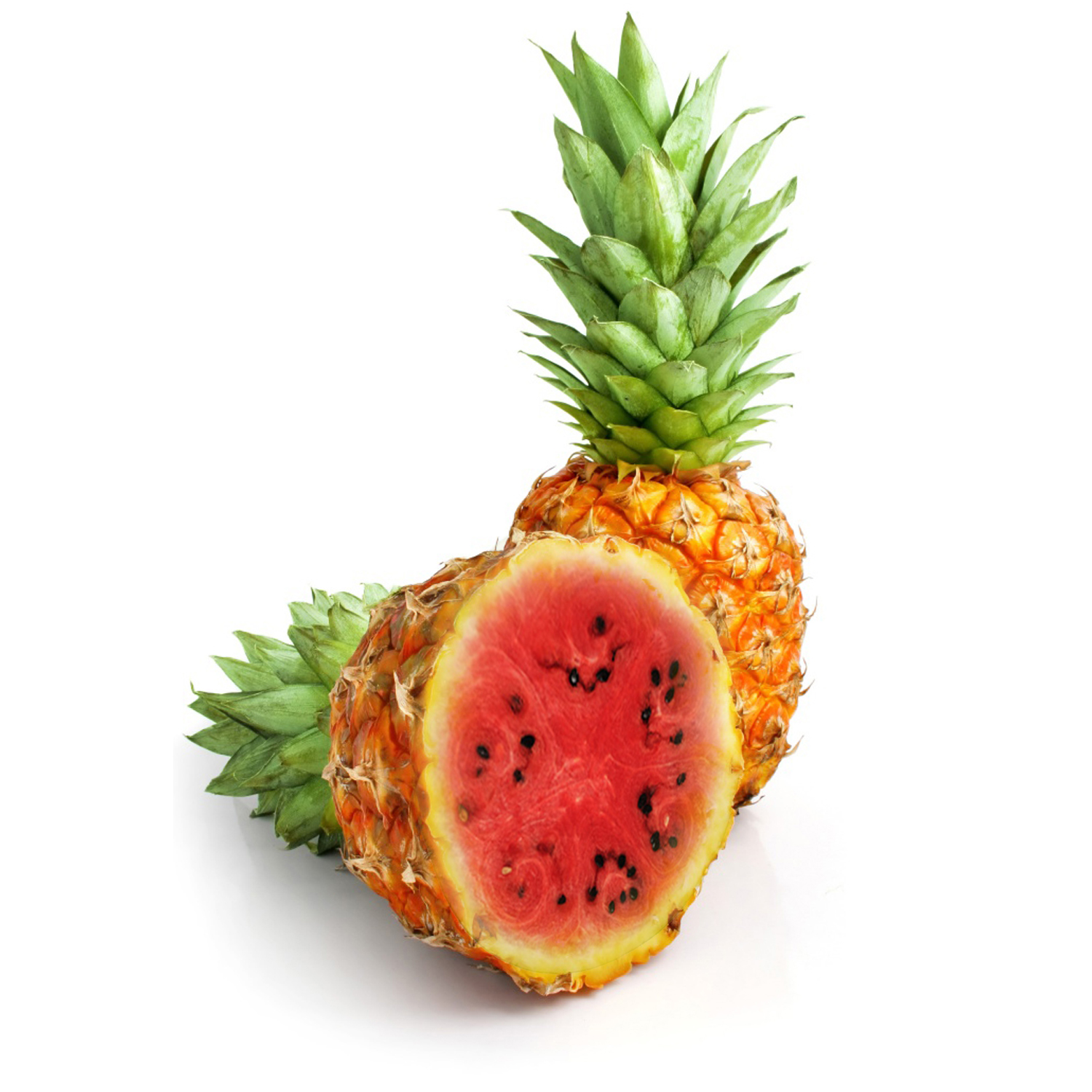 Photoshop Design by jaibysijo for DesignCrowd (Community Contests) | Design #15643024