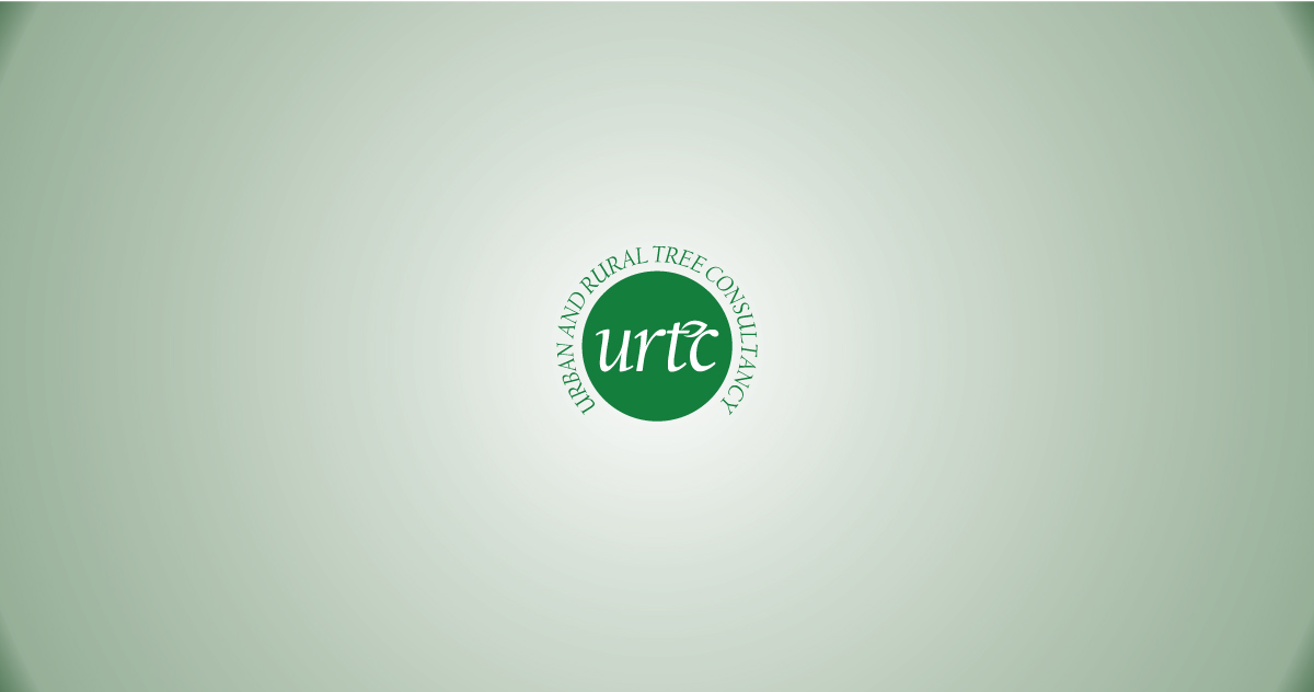 Logo Design by banto212 for this project | Design #15871212