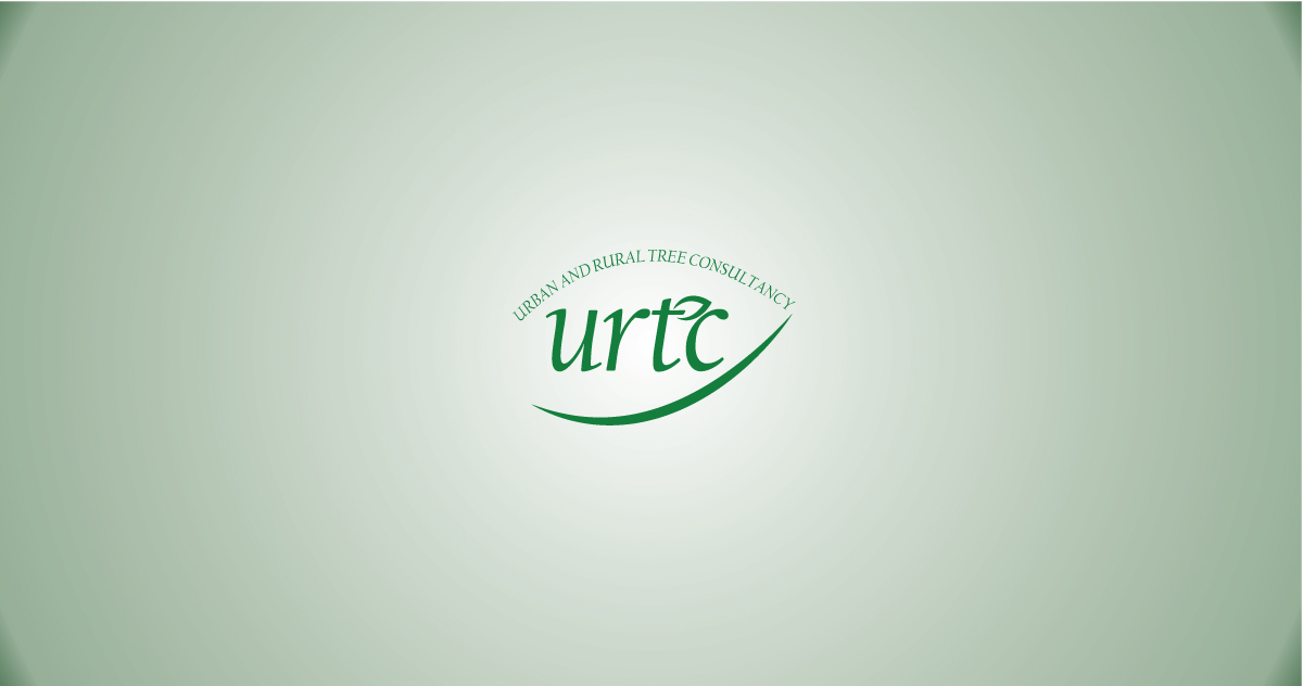 Logo Design by banto212 for this project | Design #15871214