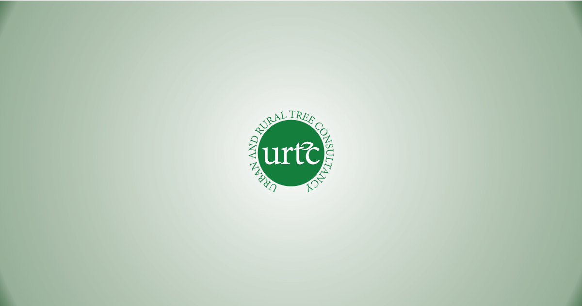 Logo Design by banto212 for this project | Design #15892467