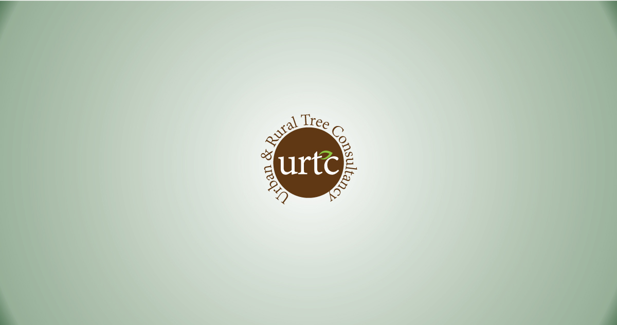 Logo Design by banto212 for this project | Design #15892468