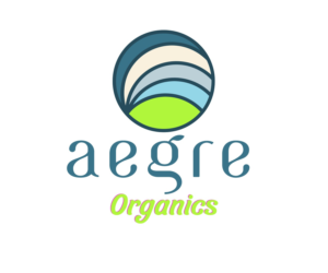 Logo Design by TheBestOne