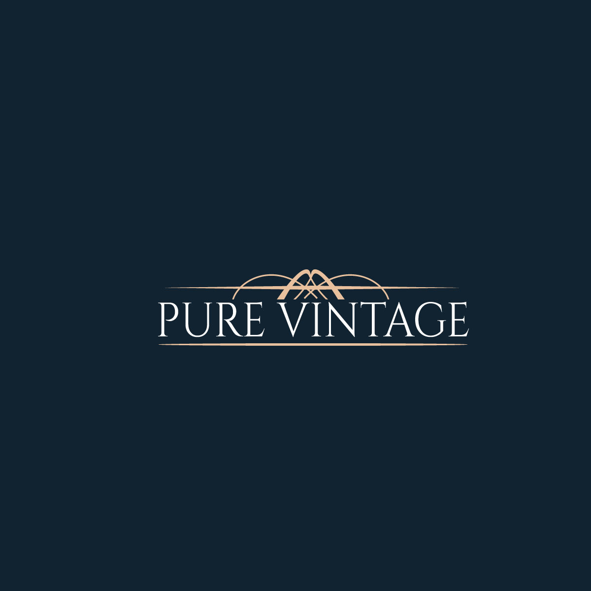 Logo Design by USIAD ANAS for Hollystone | Design #15625792