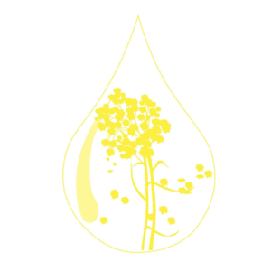 Logo Design by ielu for Longbow AS | Design: #15673785