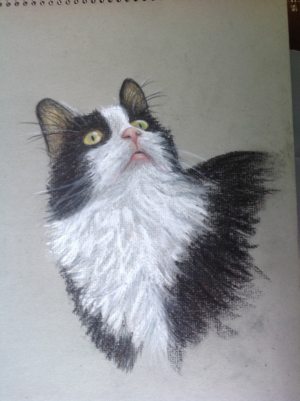 Illustration Design by Kirsten 2