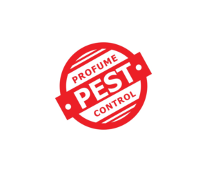 Logo Design by N83touchthesky for this project | Design #15631205