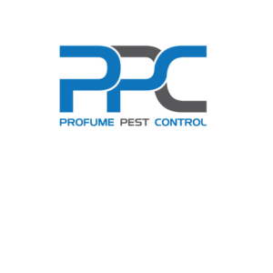 Logo Design by imismailhossainbd for this project | Design: #15649822