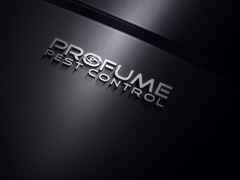 Logo Design by hotash for this project | Design #15649974