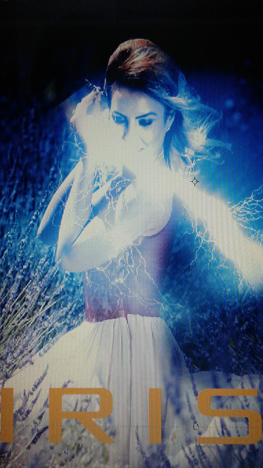 Diseño de Póster por ALI.PHOTOGRAPHE2 para este proyecto | Diseño #15770076