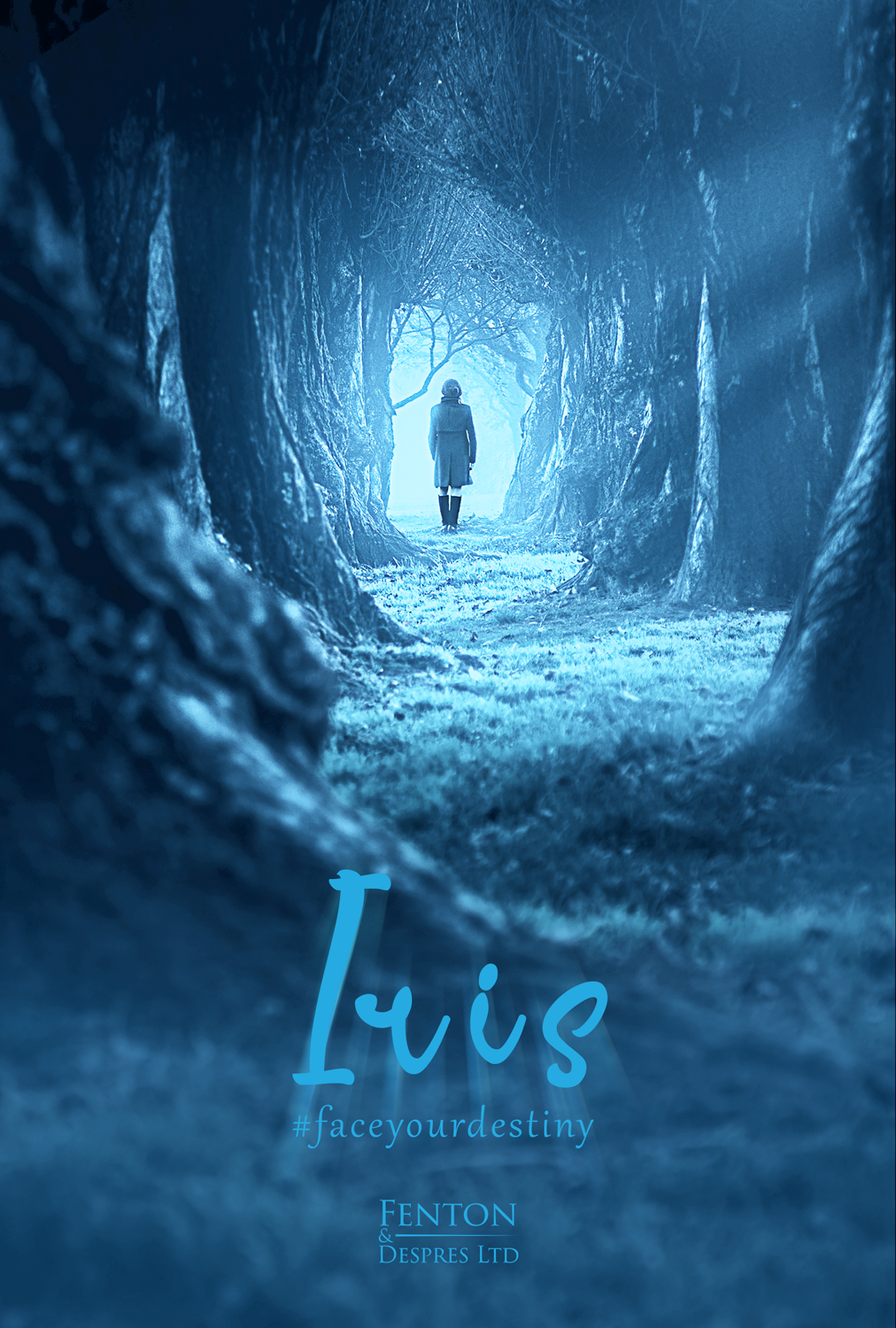 Poster Design by justinefly for this project | Design #15760608