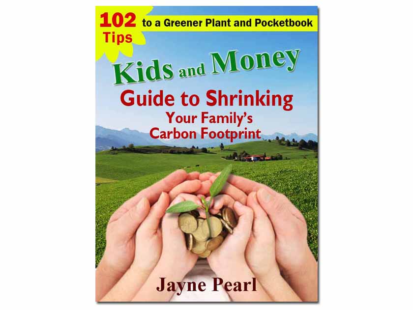 Book Cover Design by alice for this project | Design #606910