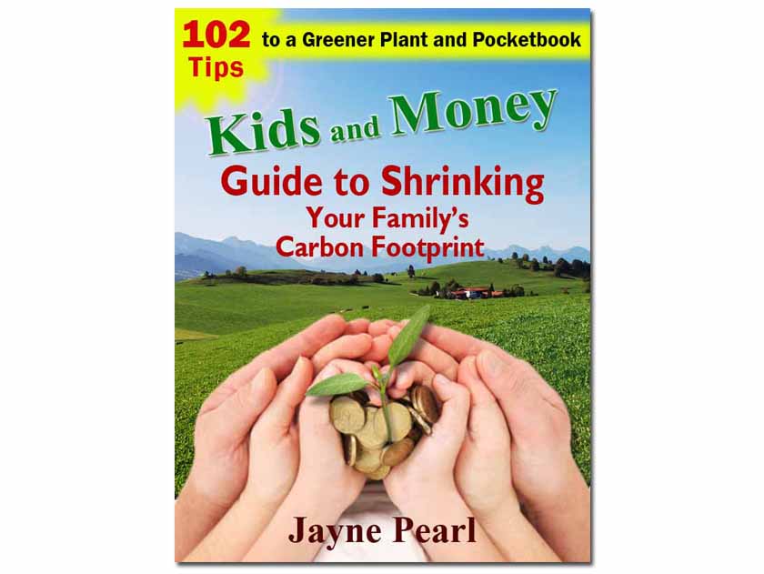 Book Cover Design by alice for this project | Design #606922