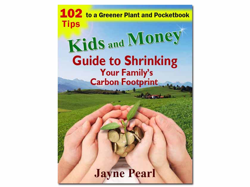 Book Cover Design by alice for this project | Design #606936
