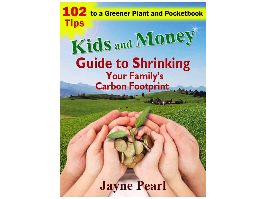 Book Cover Design by alice for this project | Design #608050