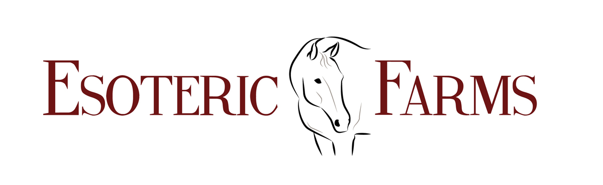 Diseño Gráfico por Marta Sobczak  para este proyecto | Diseño #2666885