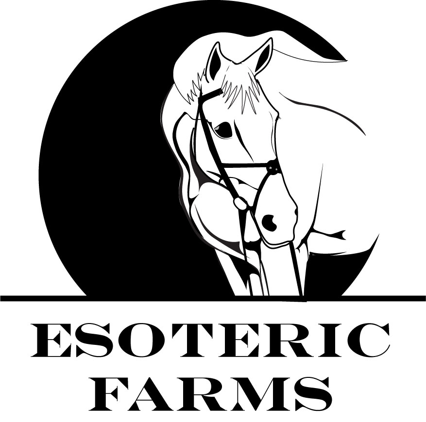 Graphic Design by Humble Gallery for this project | Design #2612076