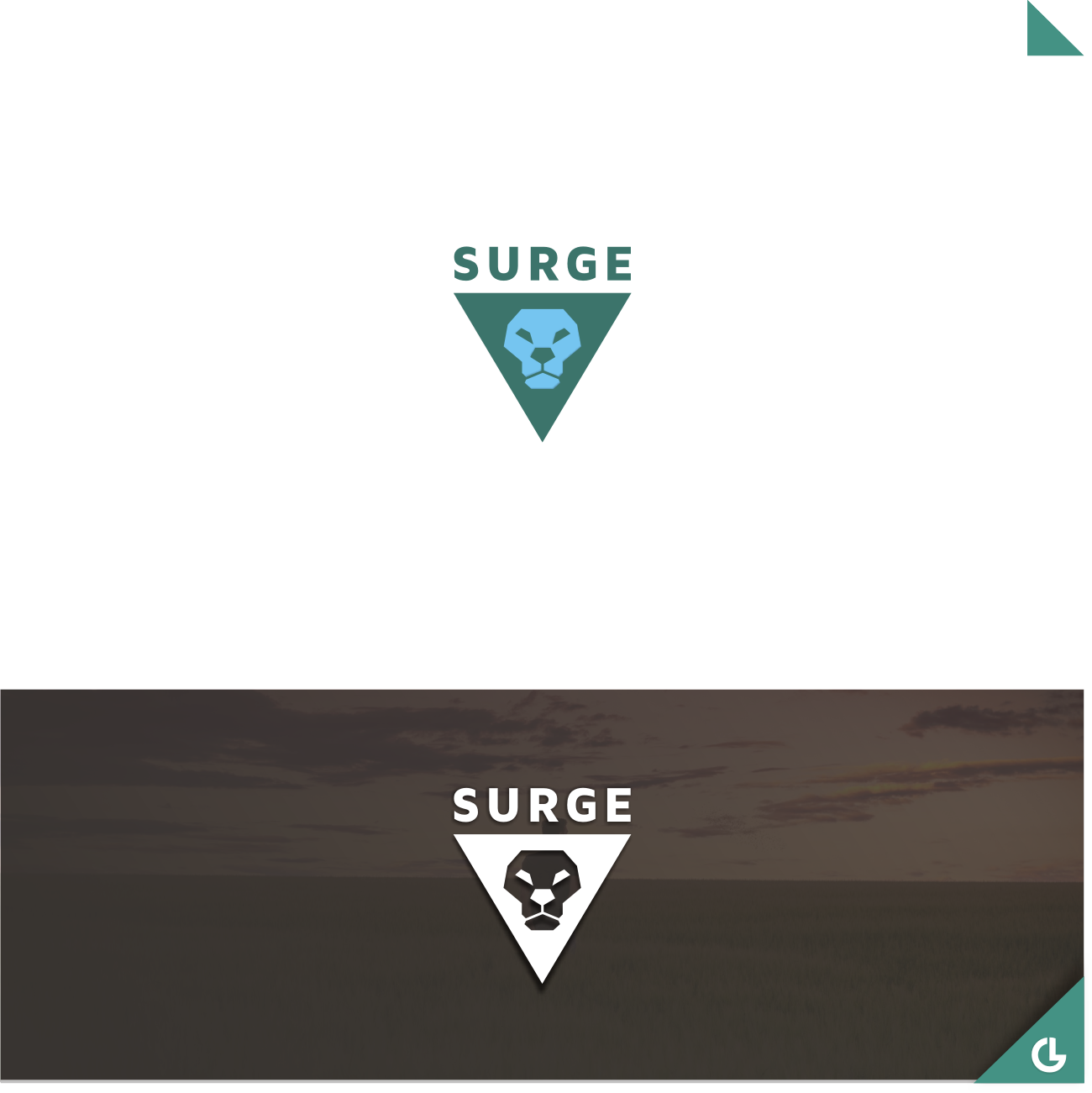 Logo Design by R!CKY for Surge Medical Pte Ltd | Design #15795764