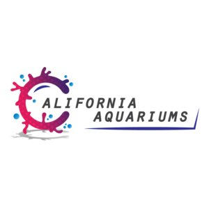 Logo Design by Yassine Voinchet