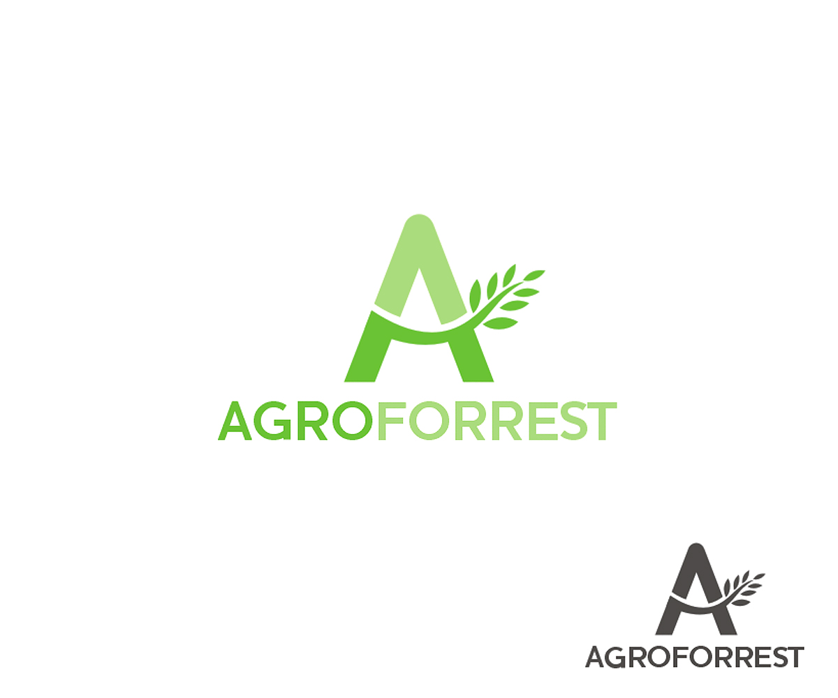 Logo Design by Vishak vasu for PLCMN / Moovget | Design #15695639