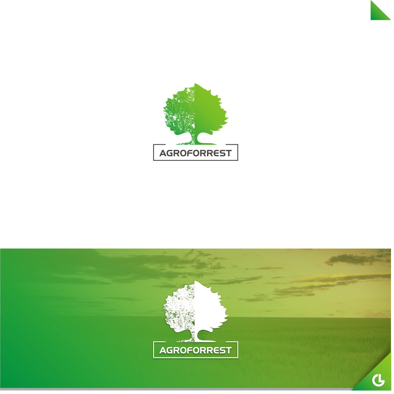 Logo Design by R!CKY for PLCMN / Moovget | Design #15662849