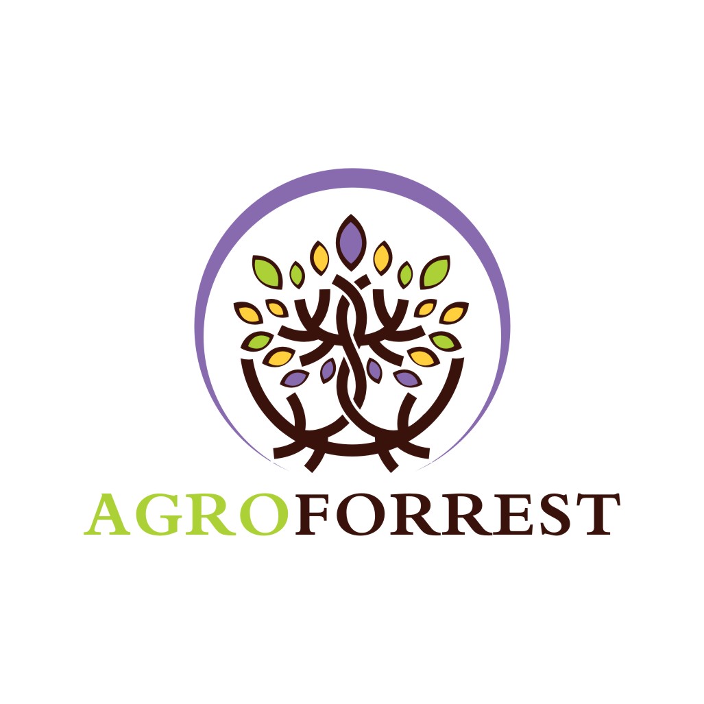 Logo Design by creative.bugs for PLCMN / Moovget | Design #15650998