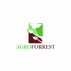 Logo Design by ekreative