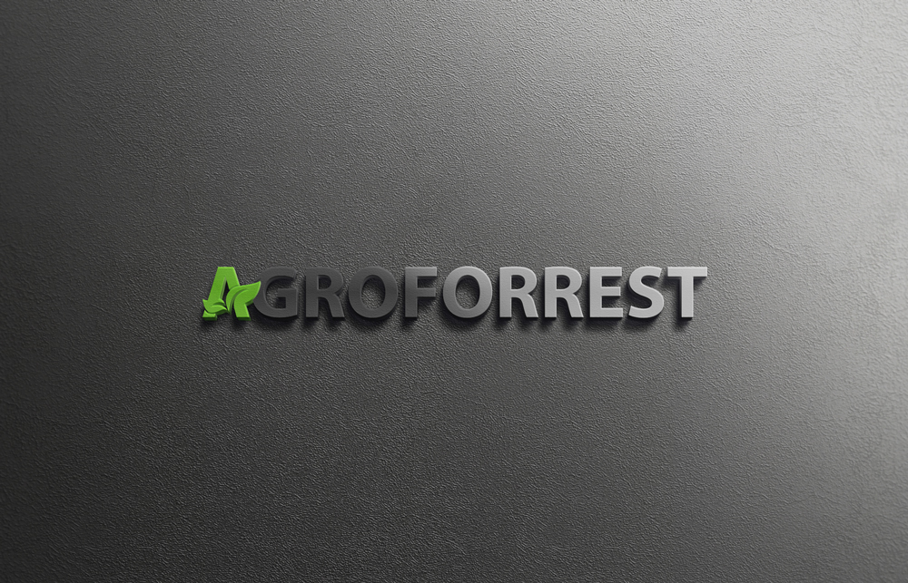 Logo Design by imsakiballhasan for PLCMN / Moovget | Design #15687424