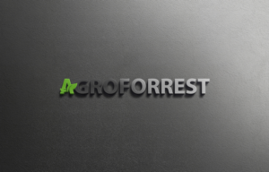 Logo Design by imsakiballhasan for PLCMN / Moovget | Design: #15687424