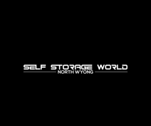 Diseño de Logo por tani_sha321 para Self Storage World | Diseño: #15692483