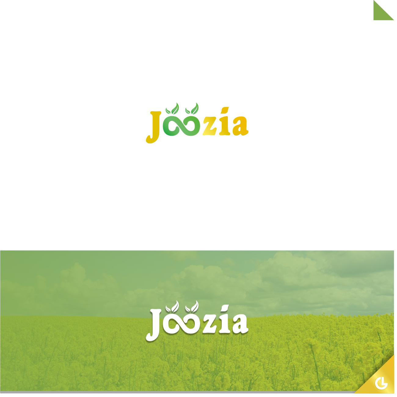 Logo Design by RICKY.T for PLCMN / Moovget | Design #15662832