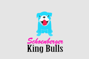 Logo Design by Angga Pranaja12