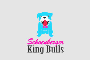 Logo Design by Angga Pranaja12 for Cerberus Immobilien Management GmbH  | Design: #15766673
