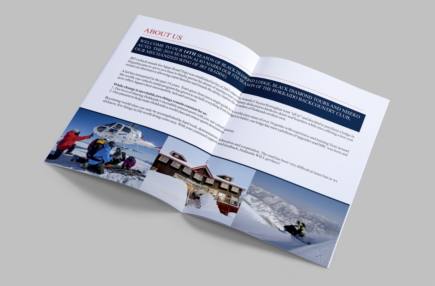 serious professional travel agent catalogue design for a company
