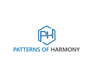 Logo Design by Top king  designer for Echo1 Pty Ltd | Design: #15716397
