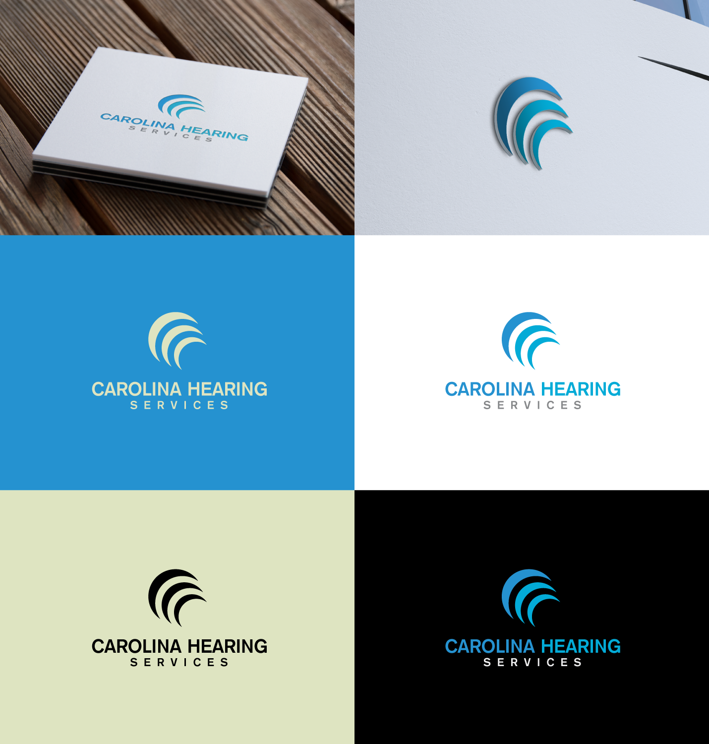 Logo Design by anonrotide for AudPractice Group, LLC | Design #15724314